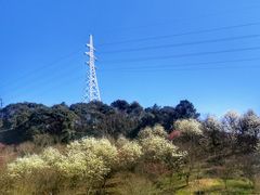 -溪口-滕头旅游景区