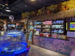 -卡通尼·Safari非洲探索乐园·生日会(金桥国际商业广场店)