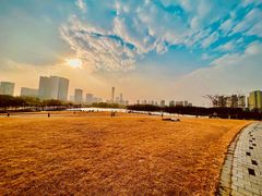 -白塘生态植物园