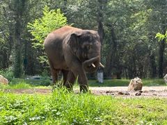 -北京野生动物园