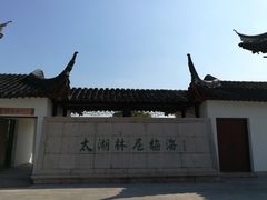 -林屋梅海青梅保护基地