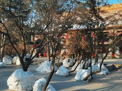 -哈尔滨极乐寺