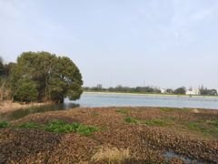-梁鸿国家湿地公园