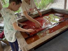 -大象粑粑造纸公园