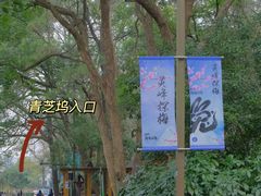 -杭州植物园
