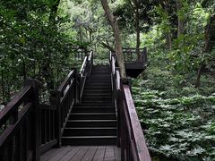 -杭州半山国家森林公园