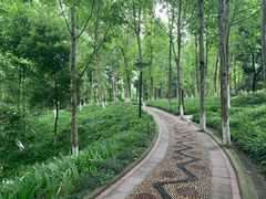 -重庆彩云湖湿地公园