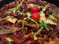 -老板恋上鱼(恒隆广场店)