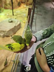 -酷嗒动物文化乐园(cutezoo西溪乐天城店)