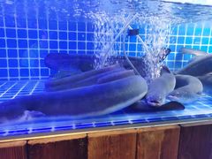 -百年食客韩式烤肉(南三环店)