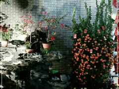 -粥旺庄(芳村店)