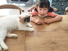 -平行世界·猫咖(首经贸店)
