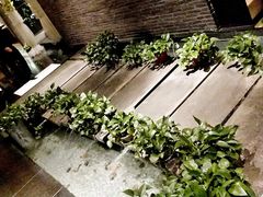 -梧桐餐厅(泉城路店)