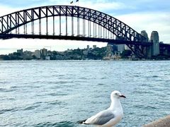 -悉尼歌剧院