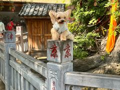 -大槐树寻根祭祖园