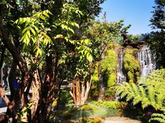 -Chom Cafe and Restaurant