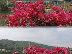 -中国移动南方基地