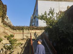 -关中书院