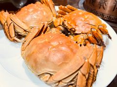 -金陵饭店-56JIA Restaurant家餐厅