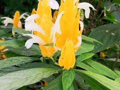 -北京植物园-展览温室