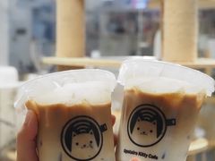 -楼上猫咖(罗湖店)