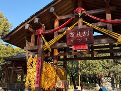 -云南民族村