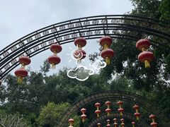 -大屏嶂森林公园