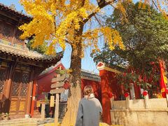 -长春观