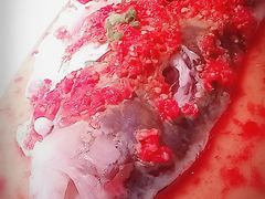 -凤凰湘语·海派湘菜(浦东旗舰店)