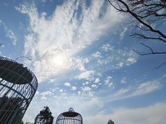 -祥源·阜阳生态乐园