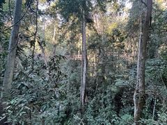 -中国科学院西双版纳热带植物园