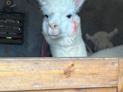 -珠海海泉湾神秘岛亲子乐园