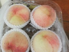 -老袁家蜜桃农场·阳山水蜜桃