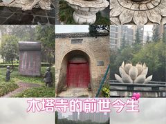 -木塔寺遗址生态公园