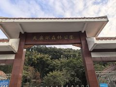 -天鹿湖森林公园