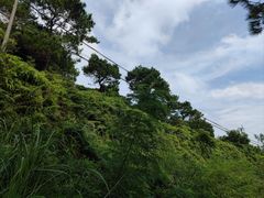 -冠头岭