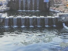 -郑东新区湿地公园