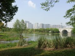 -尚贤河湿地