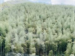 -将军关探险漂流