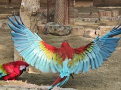 -大连森林动物园