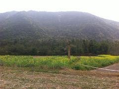 IMG_8677-开平碉楼文化旅游区马降龙景区