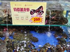 水产区-东江海鲜酒家(艺都分店)