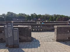 游乐设施-老龙头景区