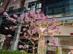 -向西村(地铁站)