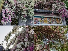 -深圳国际园林花卉博览园