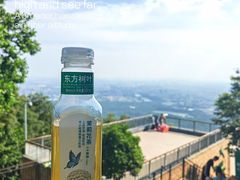 -紫金山山顶公园