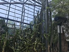 -南山植物园