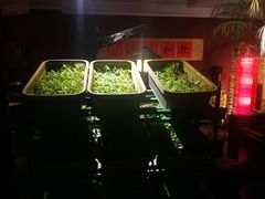 -大匠工房古船木艺术餐厅·猪肚鸡专门店(长白仙岛店)