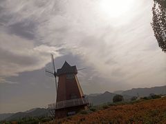 -君乐宝优致牧场