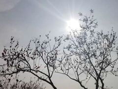 -南国桃园旅游度假区